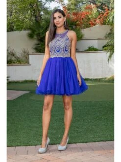High-Neck Babydoll Fancy Short Homecoming Dress -SIMPLY DRESS SALE 2156royal 5