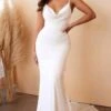 Formal Long Dress 7487W By Ladivine 1 Formal Long Dress 7487W By Ladivine -SIMPLY DRESS SALE 7487W