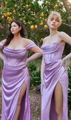 Ladivine Long Formal Dress 7492 -SIMPLY DRESS SALE 7492c 7483 lavender 1