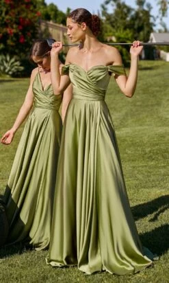 Ladivine Long Formal Dress 7493-1