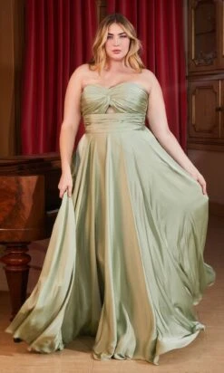 Formal Long Plus-Size Dress 7496C By Ladivine -SIMPLY DRESS SALE 7496c sage