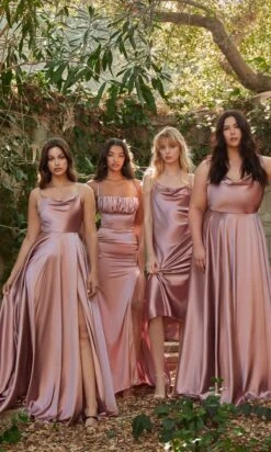 Long Formal Dress BD104 By Ladivine -SIMPLY DRESS SALE BD104 BD108 mavue 2