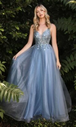 Ladivine Long Formal Dress CD0154