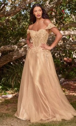 Long Formal Dress CD0198 By Ladivine -SIMPLY DRESS SALE CD0198 CHAMPAGNE