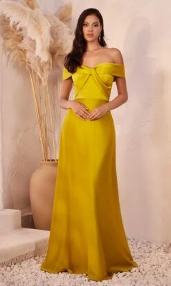 Ladivine Long Formal Dress CD325 -SIMPLY DRESS SALE CD325 chartreuse