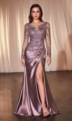 Ladivine Long Formal Dress CDS505