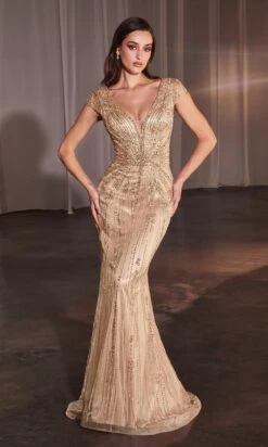 Ladivine Long Formal Dress CZ0029