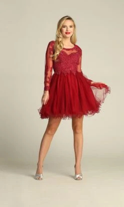 Chicas Short Party Dress Dm4003 -SIMPLY DRESS SALE DM4003BURGUNDY 3