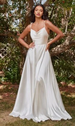 Long Formal Dress BD104W By Ladivine
