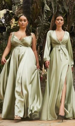Long Formal Dress BD105 By Ladivine -SIMPLY DRESS SALE bd105 7475 sage