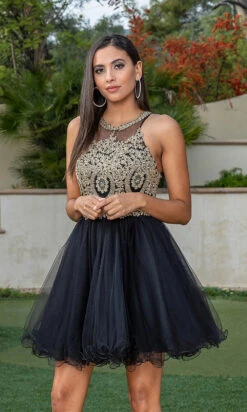High-Neck Babydoll Fancy Short Homecoming Dress -SIMPLY DRESS SALE black gold dress DQ 21 2156 a