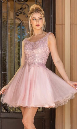 Babydoll Sleeveless Embroidered Short Prom Dress -SIMPLY DRESS SALE blush dress DQ 21 3304 a