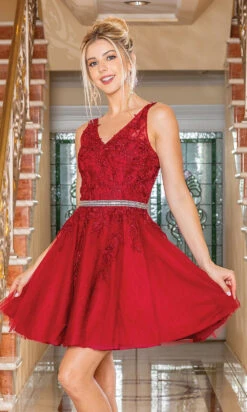 Sheer-Bodice Babydoll Short Semi-Formal Dress -SIMPLY DRESS SALE burgundy dress DQ 21 3296 a
