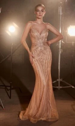Long Formal Dress CD845 By Ladivine -SIMPLY DRESS SALE cd845 rosegold