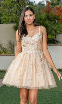 Spaghetti Strap Embroidered Short Party Dress -SIMPLY DRESS SALE champagne dress DQ 21 3278 a