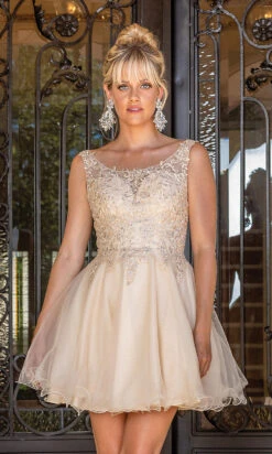 Babydoll Sleeveless Embroidered Short Prom Dress -SIMPLY DRESS SALE champagne dress DQ 21 3304 a