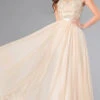 Beaded Sheer Panel Floor Length Chiffon Gown -SIMPLY DRESS SALE champagne dress DQ 8736 c