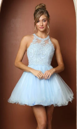 Sheer-Bodice Short Babydoll Homecoming Dress 18 Sheer-Bodice Short Babydoll Homecoming Dress -SIMPLY DRESS SALE ice blue dress NA 22 B652 a